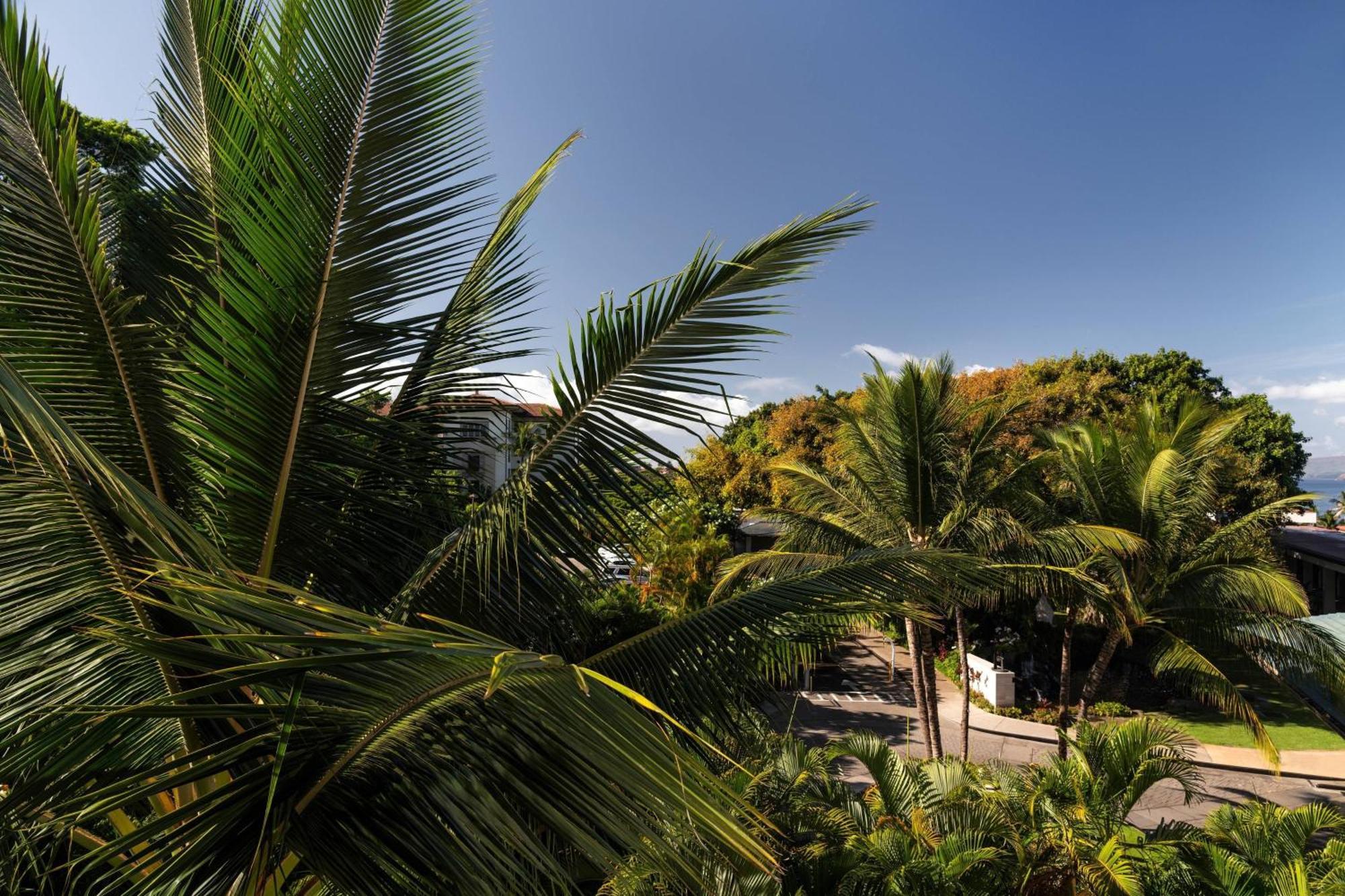 Wailea Beach Resort - Marriott, Maui Wailea (Maui) Exterior foto